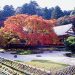 雷山千如寺大悲王院の紅葉情報。樹齢400年の大カエデの紅葉を楽しもう