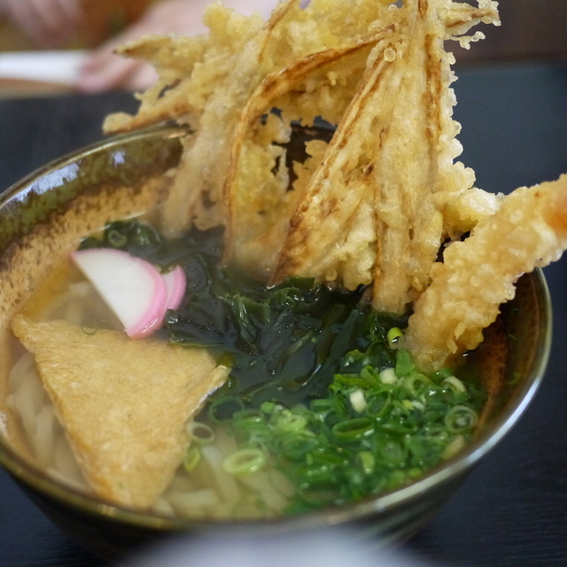 大地のうどん 本店 (下山門/うどん)